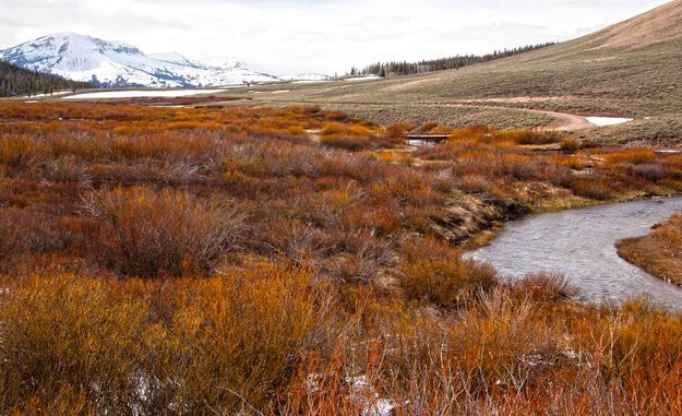 North Cottonwood Creek. Photo by Dave Bell.