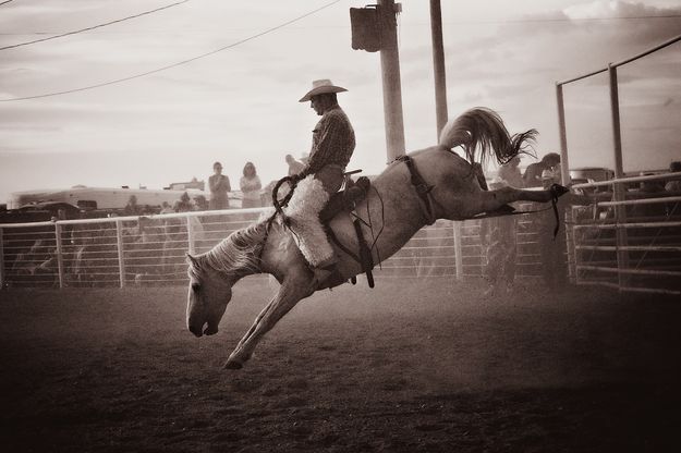 Bucking. Photo by Tara Bolgiano, Blushing Crow Photography.