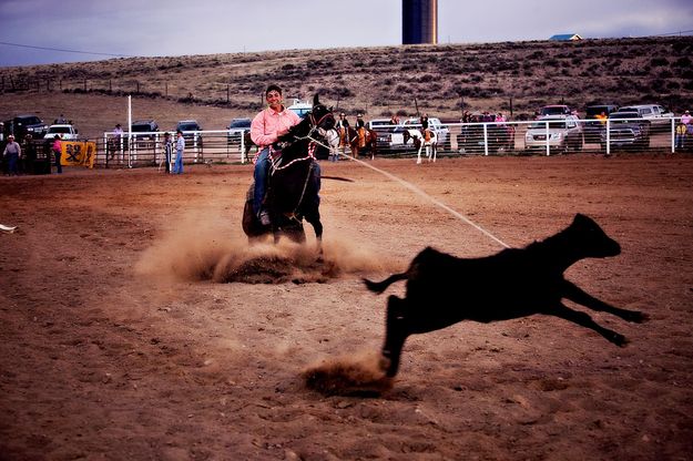 Calf Roping. Photo by Tara Bolgiano, Blushing Crow Photography.