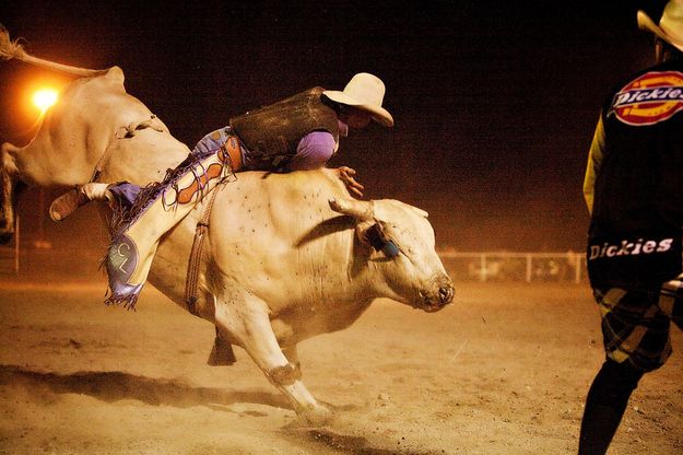 Bull Riding. Photo by Tara Bolgiano, Blushing Crow Photography.