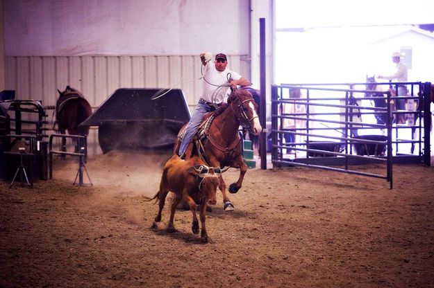 Calf roping. Photo by Tara Bolgiano, Blushing Crow Photography .