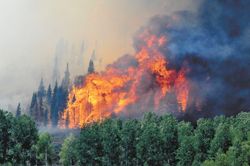 Fontenelle Fire. Photo by Tyler Foster, Sublette Examiner.