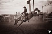 Bucking. Photo by Tara Bolgiano, Blushing Crow Photography.