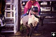 Mutton Bustin. Photo by Tara Bolgiano, Blushing Crow Photography.