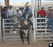 Bull Riding - Parker Greenwood. Photo by Clint Gilchrist, Pinedale Online.