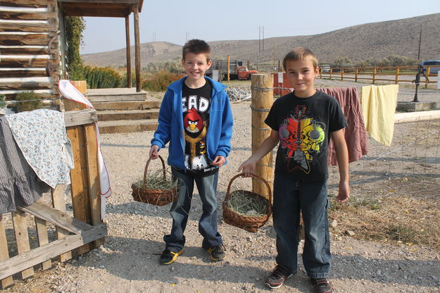 Bringing in the eggs. Photo by Dawn Ballou, Pinedale Online.