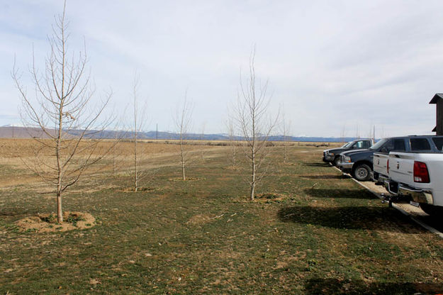 Landscaping. Photo by Dawn Ballou, Pinedale Online.