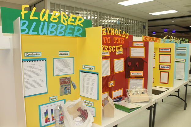 Science Fair. Photo by Dawn Ballou, Pinedale Online.