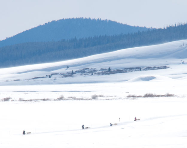 Wide open spaces. Photo by Chris Havener, IPSSSDR.