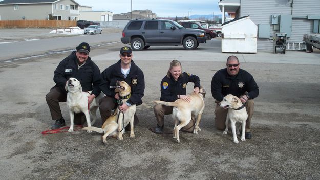 K-9 Teams. Photo by Creatire Comforts.