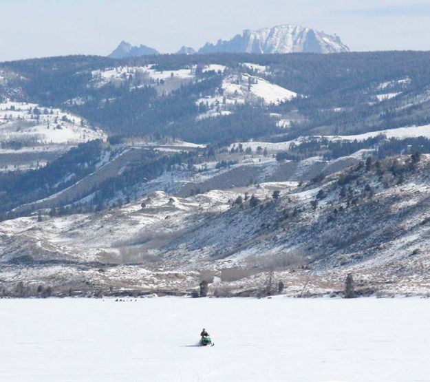 Bringing in a fish. Photo by Dawn Ballou, Pinedale Online.