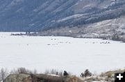 Ice fishermen. Photo by Dawn Ballou, Pinedale Online.