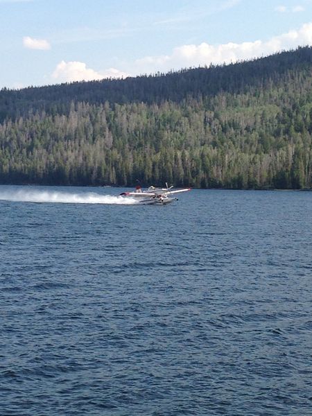 Landing. Photo by Kristi Dixon, Half Moon Lake Lodge.