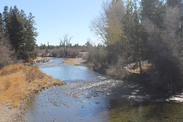 Harmony Bridge view downstream. Photo by Dawn Ballou, Pinedale Online.