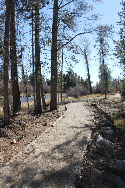 Trail. Photo by Dawn Ballou, Pinedale Online.