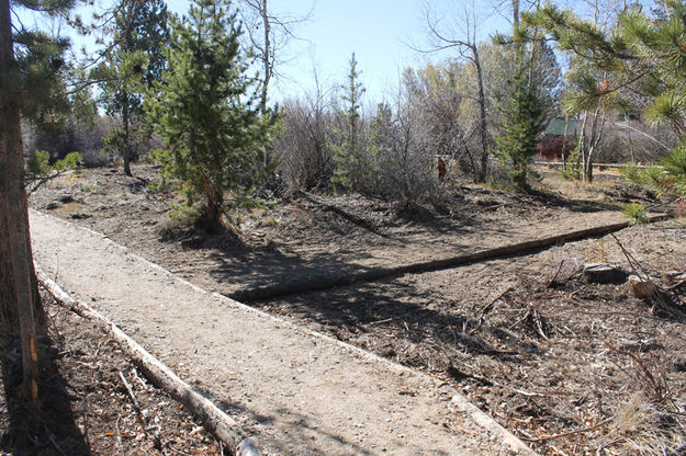 Trails meet. Photo by Dawn Ballou, Pinedale Online.