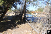 By the creek. Photo by Dawn Ballou, Pinedale Online.