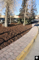 Pavers. Photo by Dawn Ballou, Pinedale Online.