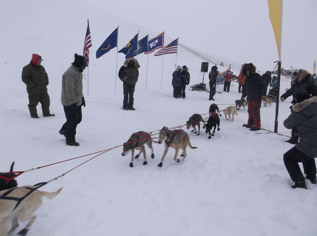 Start Line. Photo by Joy Ufford.