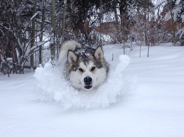 Let's play!. Photo by Larry McCullough.