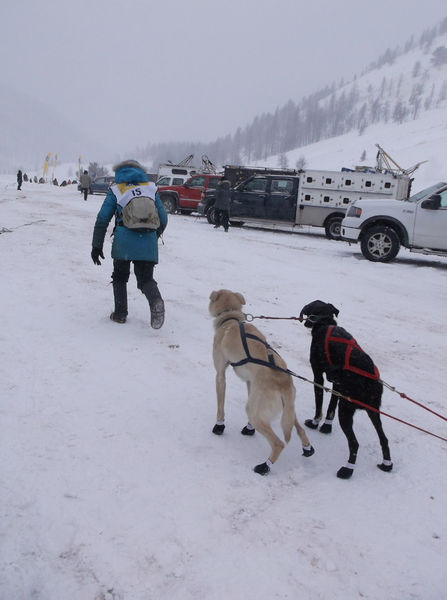 To the Start Line. Photo by Joy Ufford.