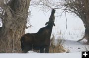 The Big Stretch. Photo by Dave Bell.