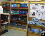 Aquariums and supplies. Photo by Dawn Ballou, Pinedale Online.