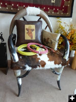 Chair. Photo by Dawn Ballou, Pinedale Online.