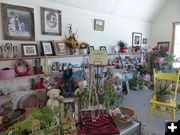 Inside store. Photo by Dawn Ballou, Pinedale Online.