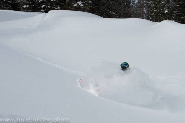 Where's Sandy?. Photo by Arnold Brokling.