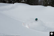 Where's Sandy?. Photo by Arnold Brokling.