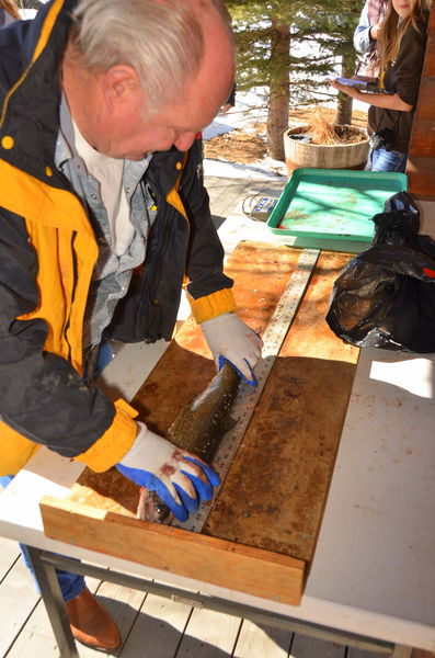 Weigh in and measure. Photo by Terry Allen.