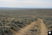 Lander Trail. Photo by Dawn Ballou, Pinedale Online.