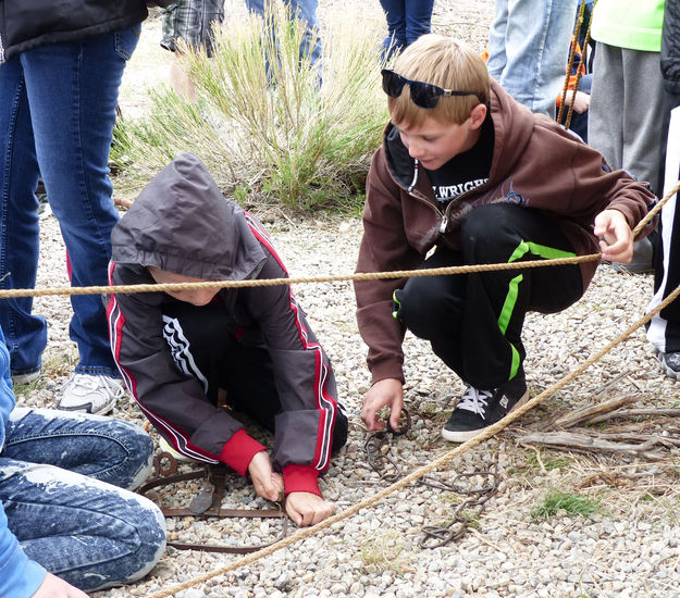 Beaver trap. Photo by Dawn Ballou, Pinedale Online.