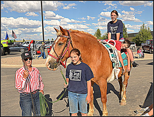 Horse Talent. Photo by Terry Allen.