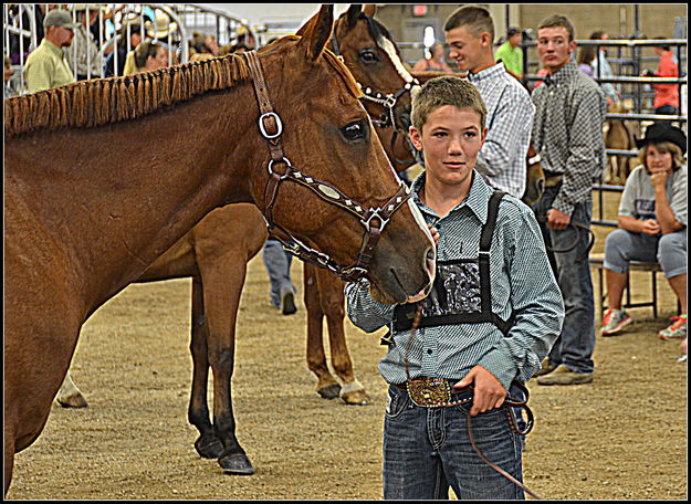 Showing the colts. Photo by Terry Allen.