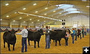 Contestants show their beef. Photo by Terry Allen.