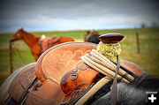 Saddle. Photo by Terry Allen.