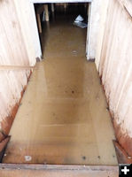 Cellar full of muddy water. Photo by Dawn Ballou, Pinedale Online.