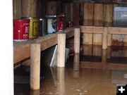 Water in cellar over two sheves. Photo by Dawn Ballou, Pinedale Online.