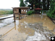 Muddy path. Photo by Dawn Ballou, Pinedale Online.