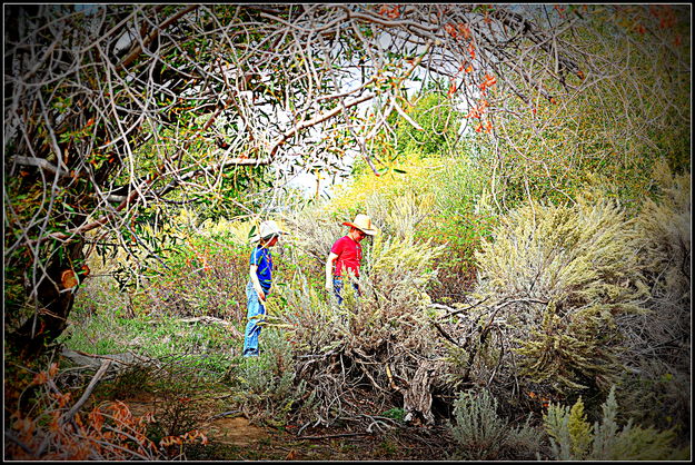 Playing in the Ditch. Photo by Terry Allen.