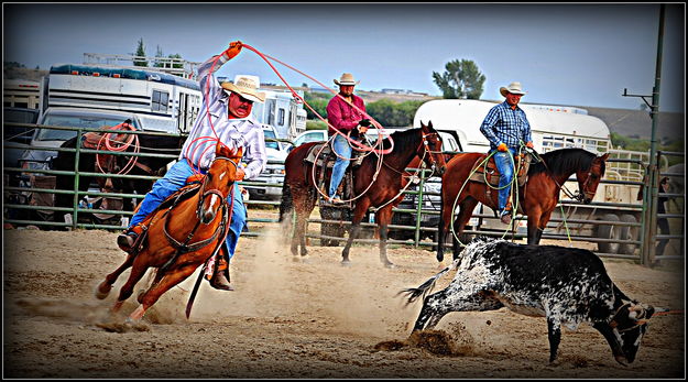 Roundi Heel. Photo by Terry Allen.