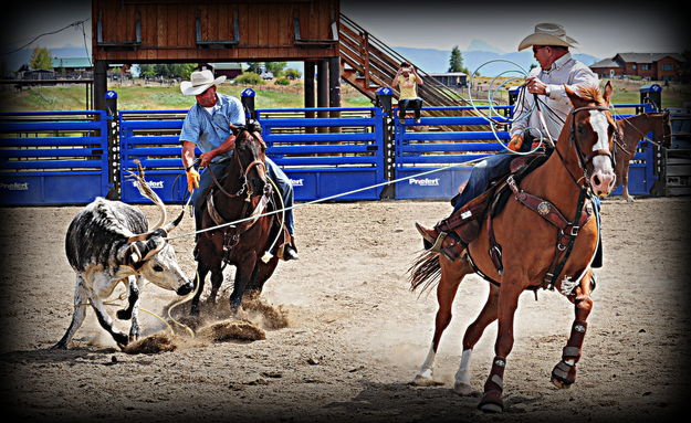 Teamwork. Photo by Terry Allen.