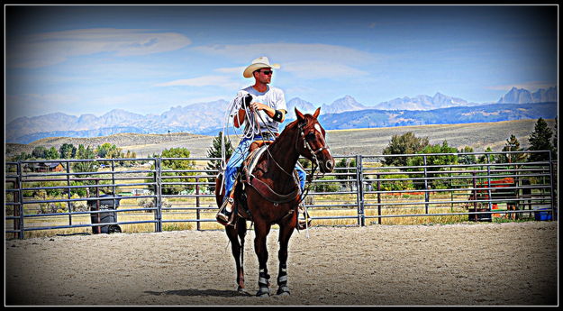 Lone Cowboy. Photo by Terry Allen.