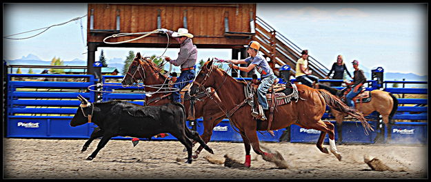 Synchronized Roping. Photo by Terry Allen.