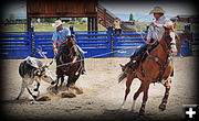 Teamwork. Photo by Terry Allen.