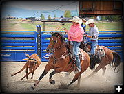 Heading. Photo by Terry Allen.