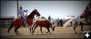 Ask the Heeler. Photo by Terry Allen.