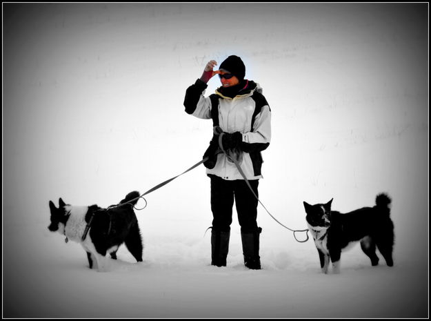 Black and Whites. Photo by Terry Allen.